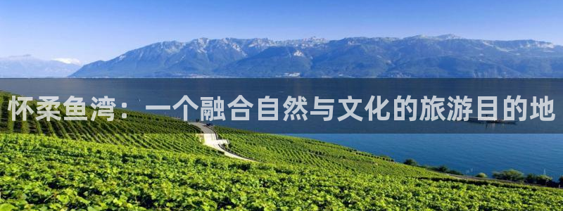 摩根克里克娱乐公司