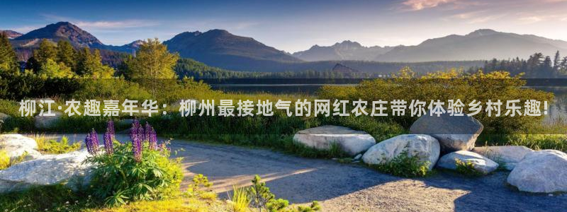 摩根娱乐宝手机客户端