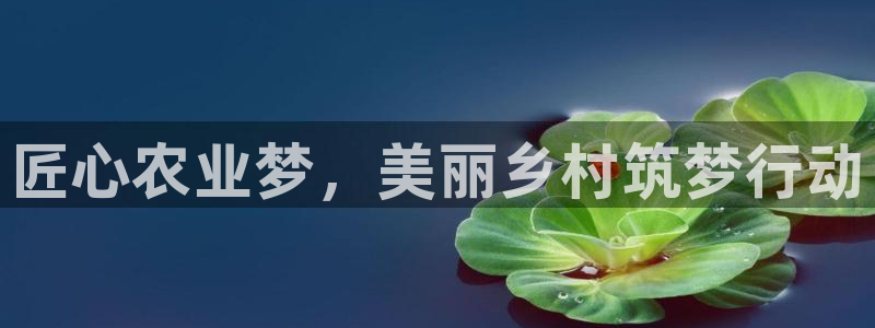 摩根娱乐宝的代理方式