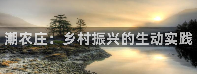 摩根娱乐宝机构代码