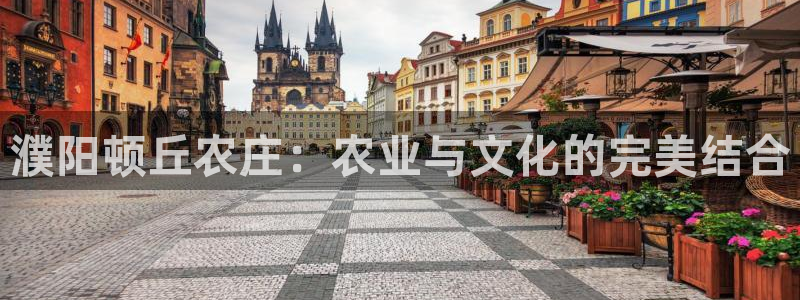 摩根360休闲娱乐