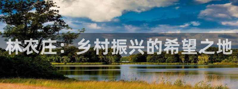 摩根大通狮门娱乐目标价