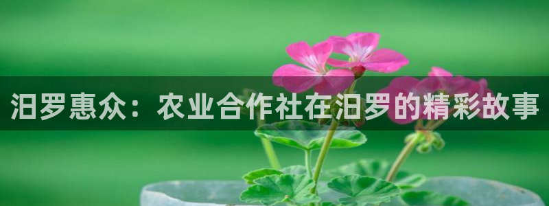 义乌摩根娱乐会所地址