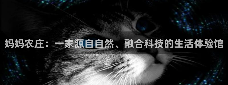 摩根娱乐垫付任务靠谱吗