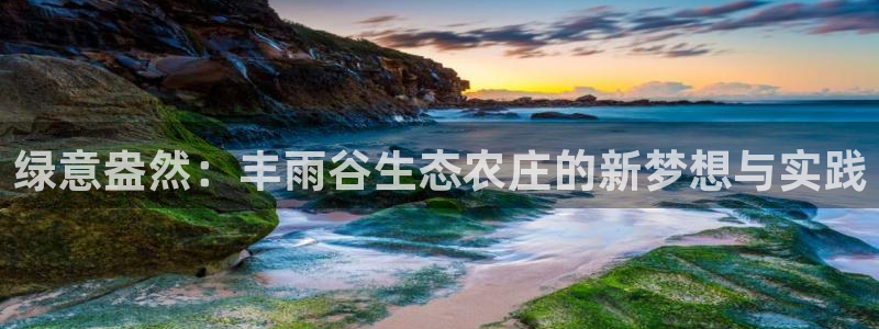 摩根娱乐宝官网下载