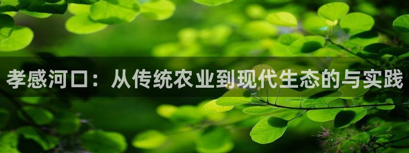 摩根娱乐主管