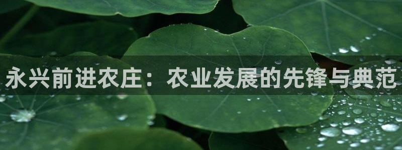 摩根娱乐宝是合法吗