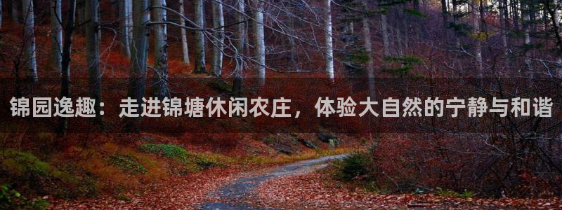 摩根娱乐宝是合法吗