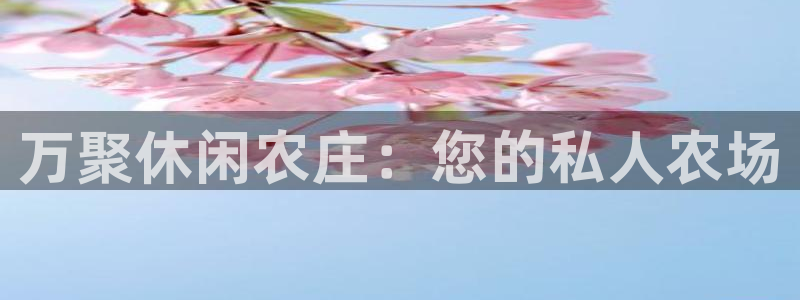 摩根娱乐宝怎么样