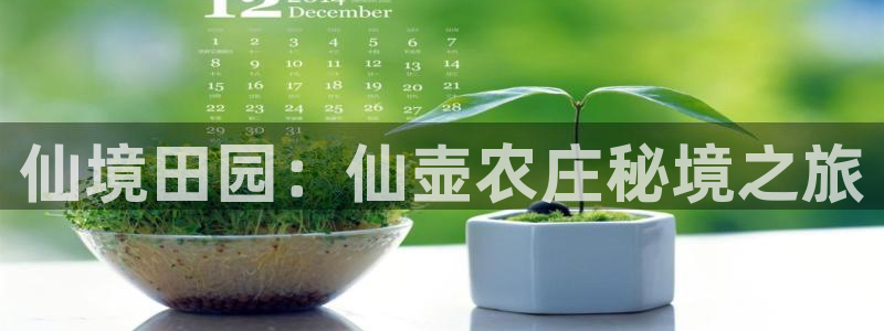 泉州摩根会娱乐张桂花