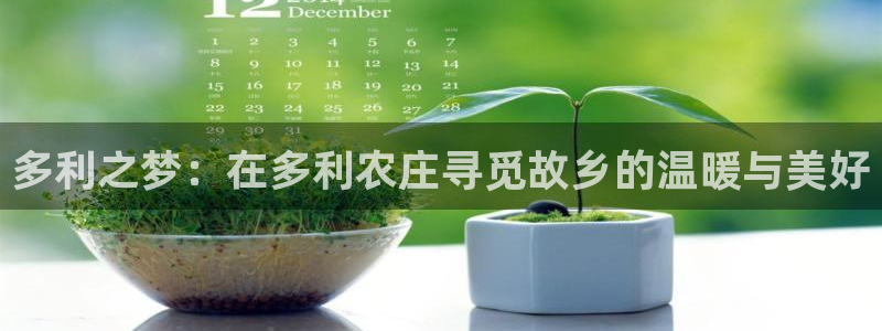 摩根娱乐注册账号