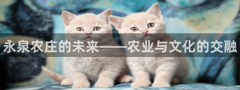 义乌摩根娱乐消费多少