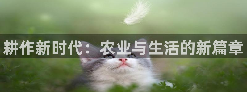 摩根娱乐宝怎么下载