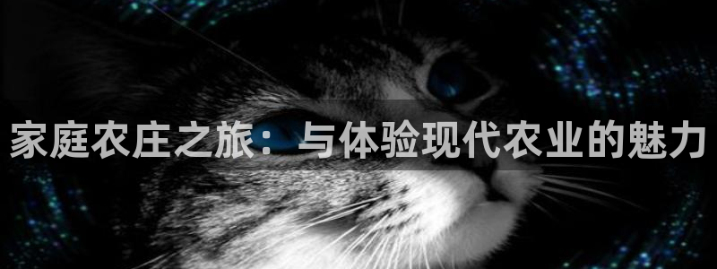 摩根娱乐云挂机项目