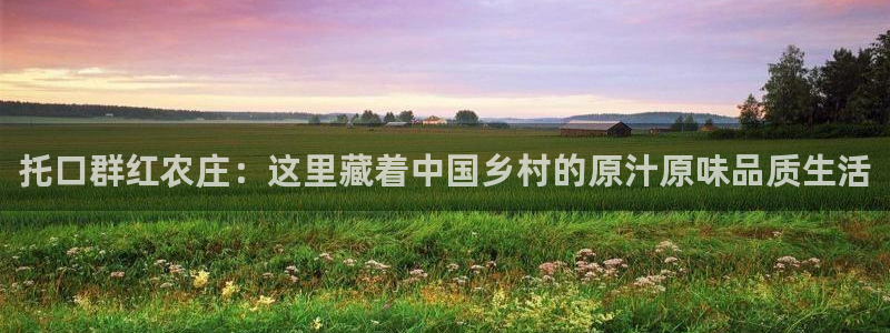 海贼王之娱乐摩根斯