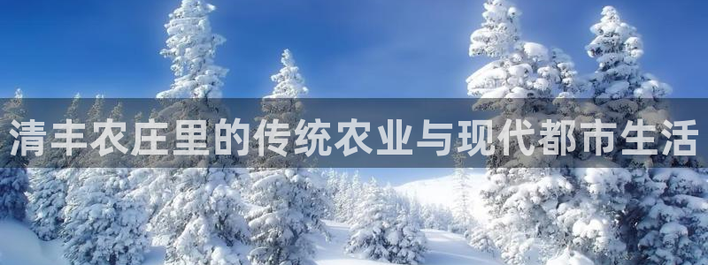 摩根娱乐宝是什么游戏