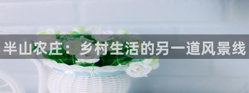 摩根娱乐50186选择