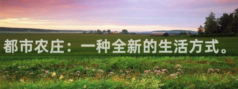 摩根娱乐50186加