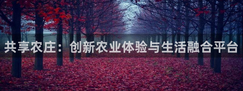 泉州摩根会娱乐张桂花