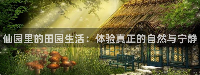 摩根娱乐1老H板50820