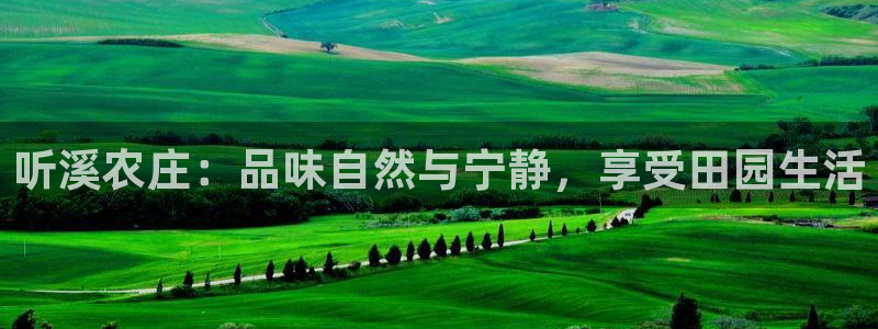 摩根娱乐50186选择