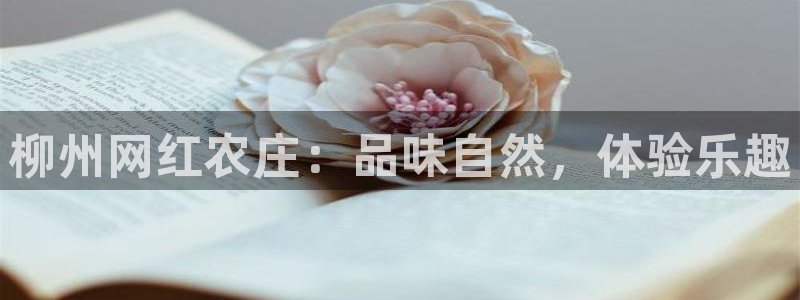 摩根娱乐↑总s管50015