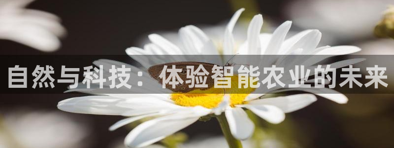 摩根 娱乐宝诈骗