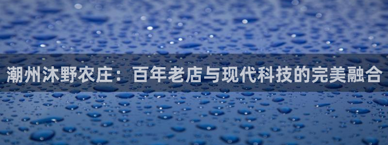 摩根娱乐宝代理