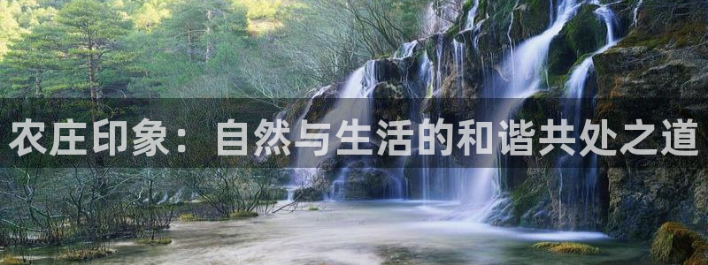 成都摩根娱乐会所