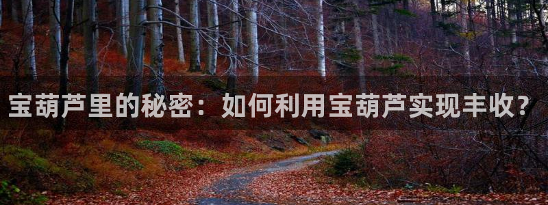 摩根娱乐宝口碑