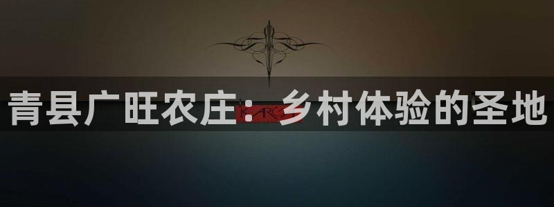 摩根娱乐公会创始人