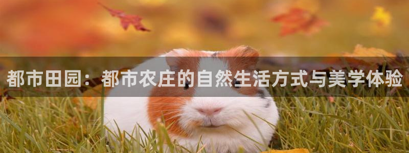 义务摩根娱乐会所电话