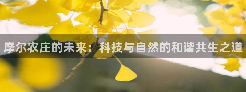 摩根娱乐注册章7O777