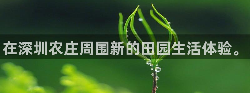 摩根大通会员买金沙娱乐