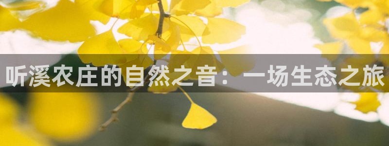 摩根娱乐宝怎样拉下线