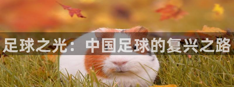 泉州摩根娱乐会所