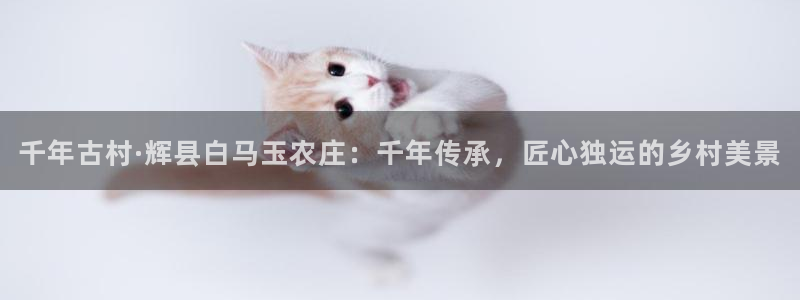 摩根娱乐彩票被骗了