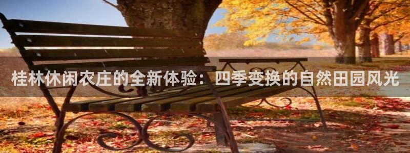 摩根说娱乐