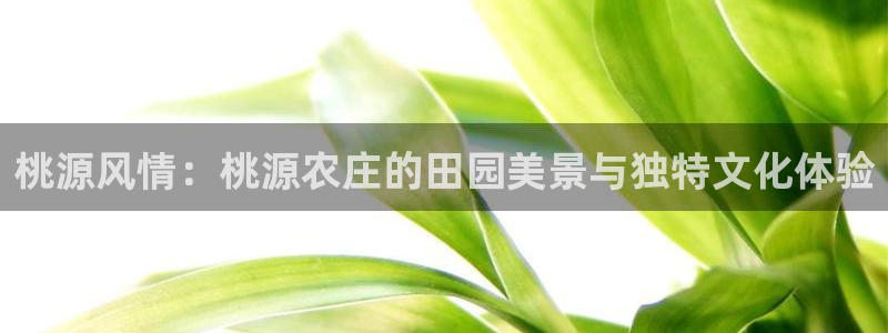义乌摩根娱乐会所收费