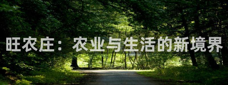 摩根娱乐 总s管50015