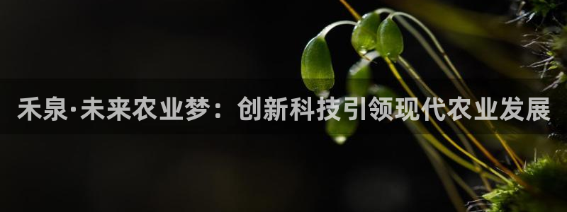 摩根 娱乐宝骗了我