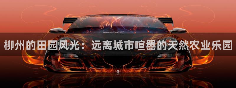 摩根娱乐宝怎么赚钱