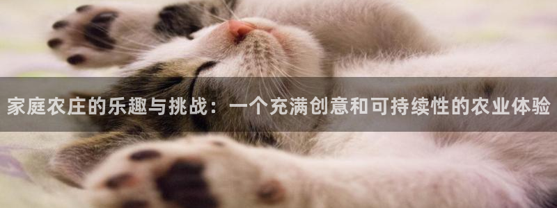 摩根娱乐宝吧
