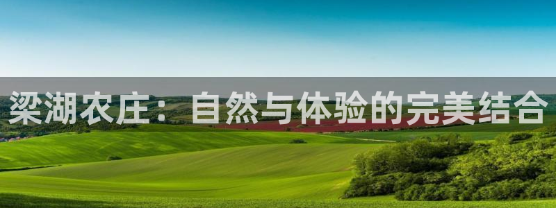 上投摩根娱乐