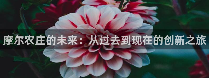 摩根国际娱乐宝