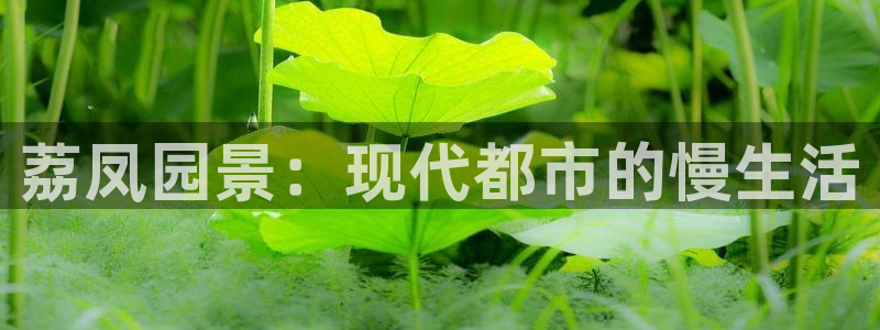 摩根娱乐会所招少爷么