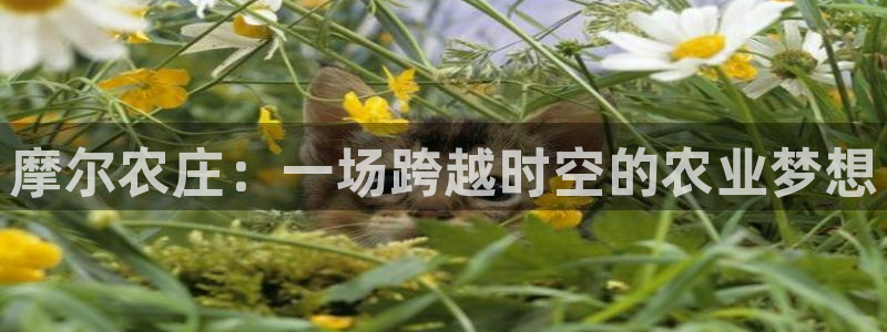 摩根娱乐是骗局吗?