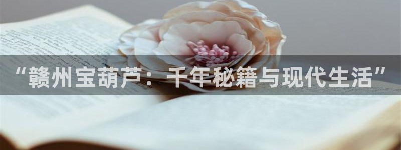 摩根娱乐宝官网