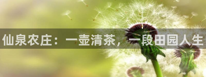 摩根娱乐会所