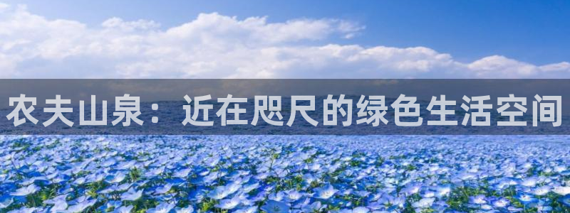 摩根娱乐是什么